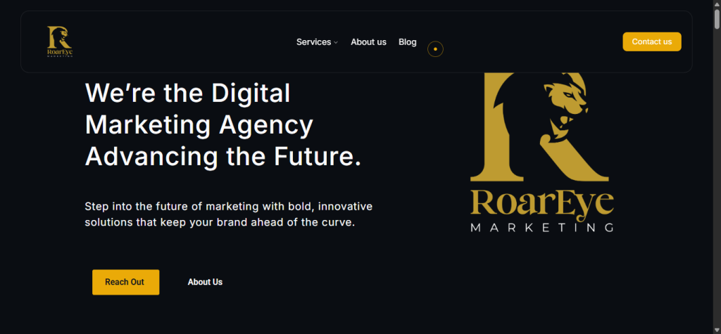 Roareye digital marketing agency dashboard